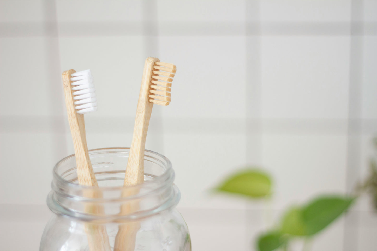 All Natural Toothbrush